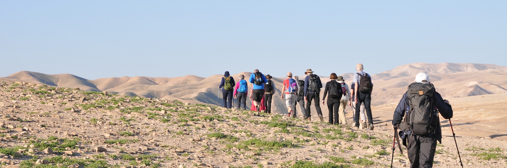 En grupp vandrare fljer en stig i halvkenlandskapet i norra Negevomrdet, en del grn vegetation vxer i det smkulliga landskapet.