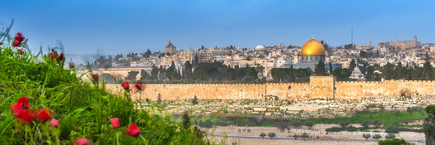 Gamla stan i Jerusalem frn en blomsterng p Olivberget.