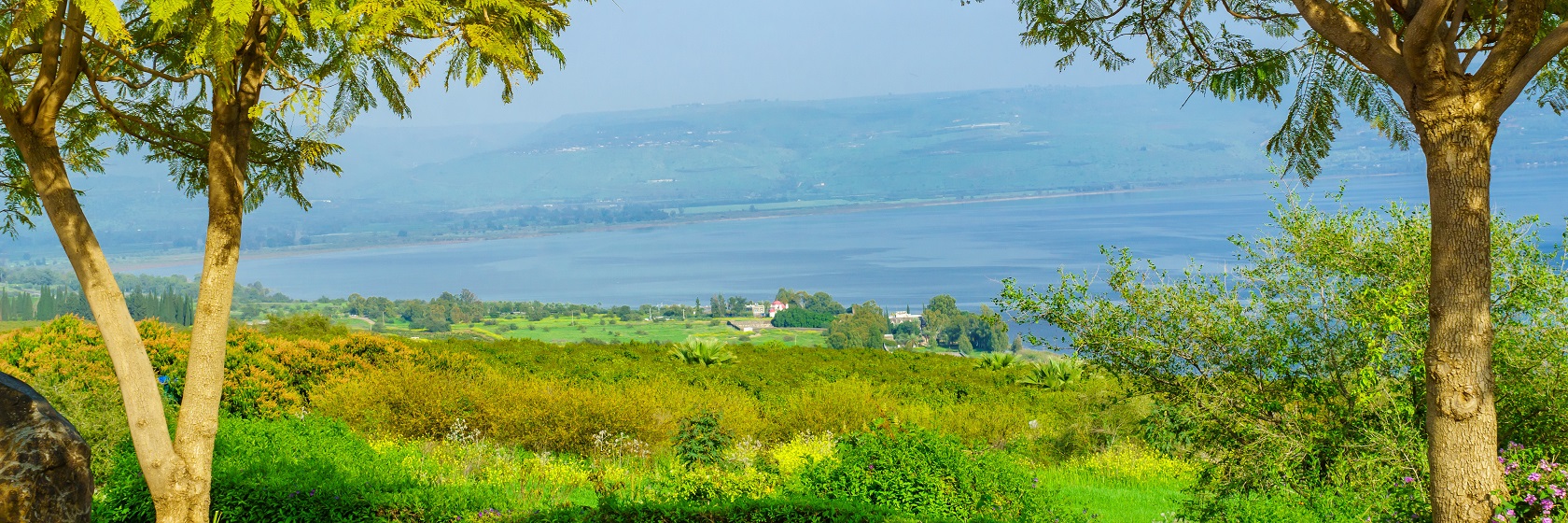 Vy från Saligprisningarnas berg över gröna jordbruksmarker ner mot Gennesarets sjö.