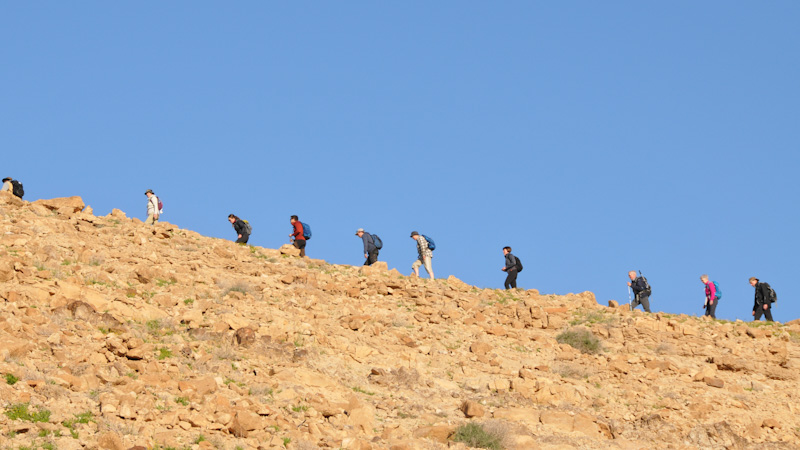 En grupp vandrare gr p toppen av stenigt krn med en gnutta vegetation.