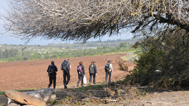 En liten grupp vandrare gr under en torr trdtopp i kanten av ett uppljt flt, i bakgrunden lyser gula blommor i sten- och buskmarker.