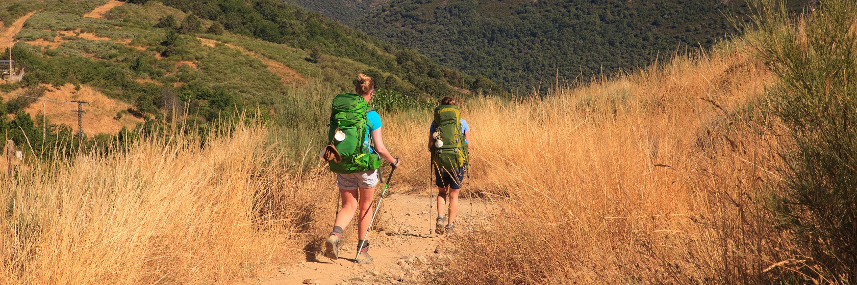 Två pilgrimsvandrare går nerför en sluttning med högt gulbränt gräs.