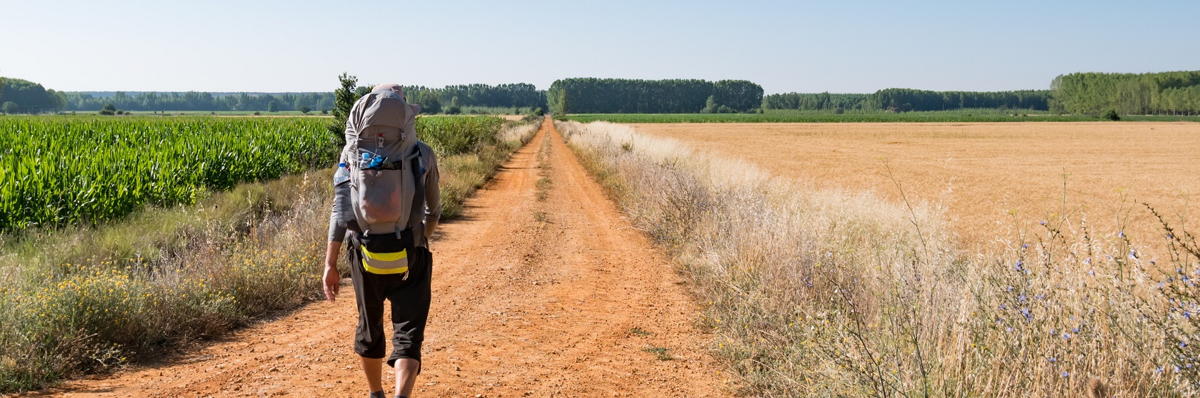 En ensam vandrare gr lngs en spikrak grusvg i ett odlingslandskap med skog vid horisonten.